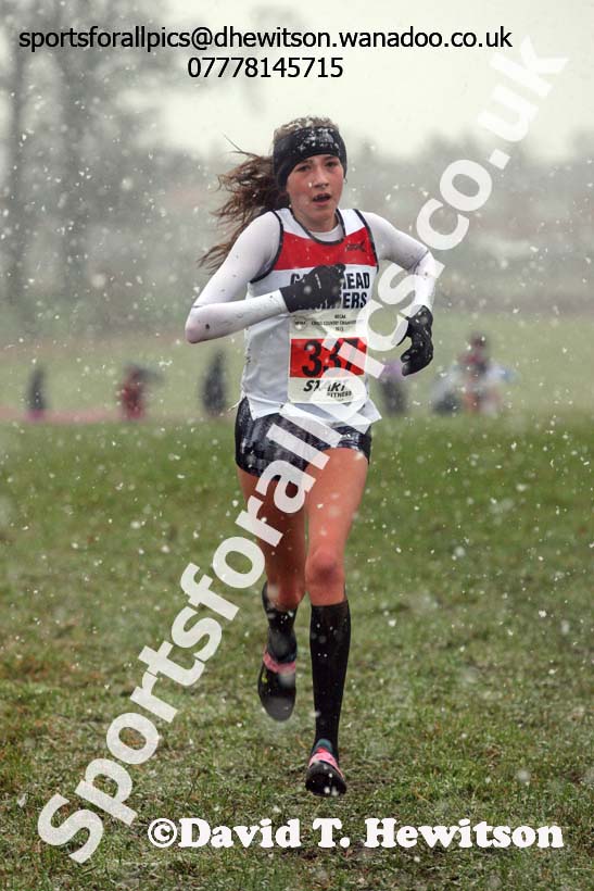 Girls under-15s North Eastern Cross Country, Sedgefield, County Durham. Photo: David T. Hewitson/Sports for All Pics